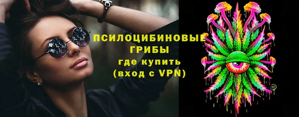 бошки Алексин
