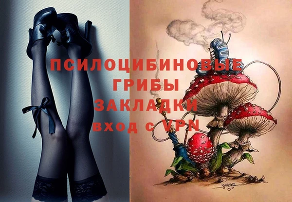 прущие грибы Алзамай