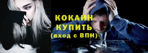 бошки Алексин