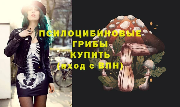дмт Алексеевка