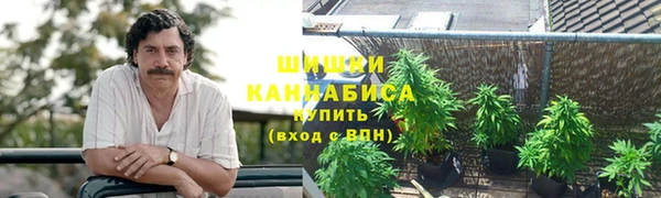 бошки Алексин
