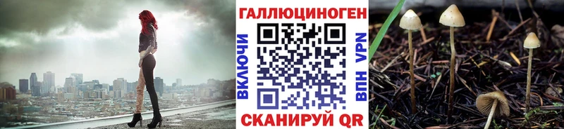 наркота  Кашира  Галлюциногенные грибы мицелий 